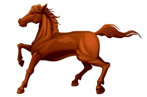 horse