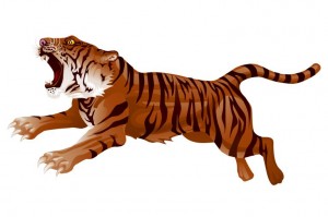 tiger