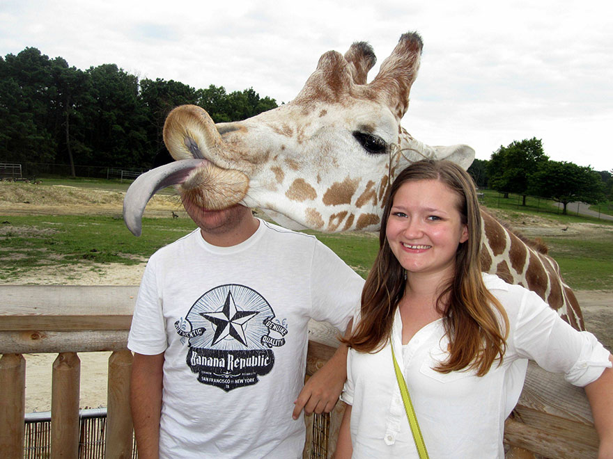 funny-animal-photobombs-9__880