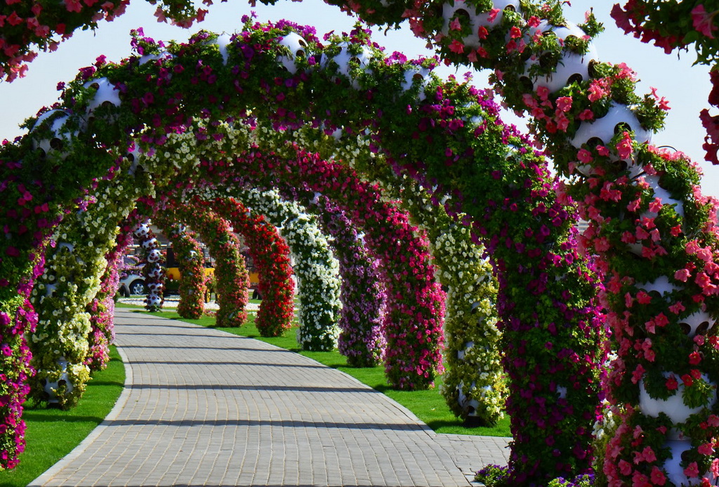 Dubai_Miracle_Garden_13