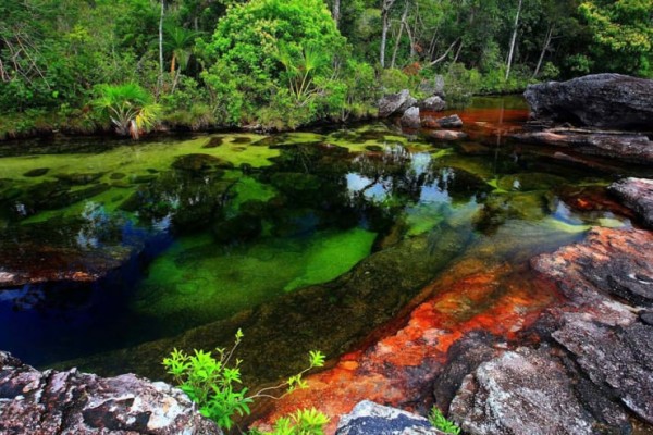 Caño-Cristales3