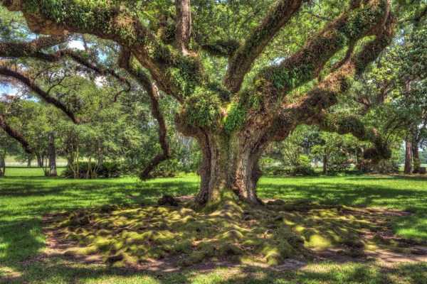 awesome-hdr-pictures-34