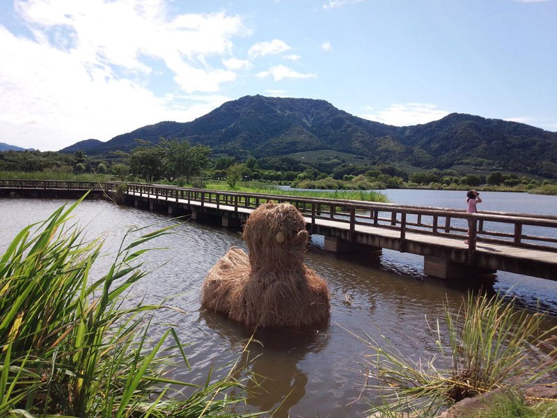 straw-art-festival-niigata-city-japan-19