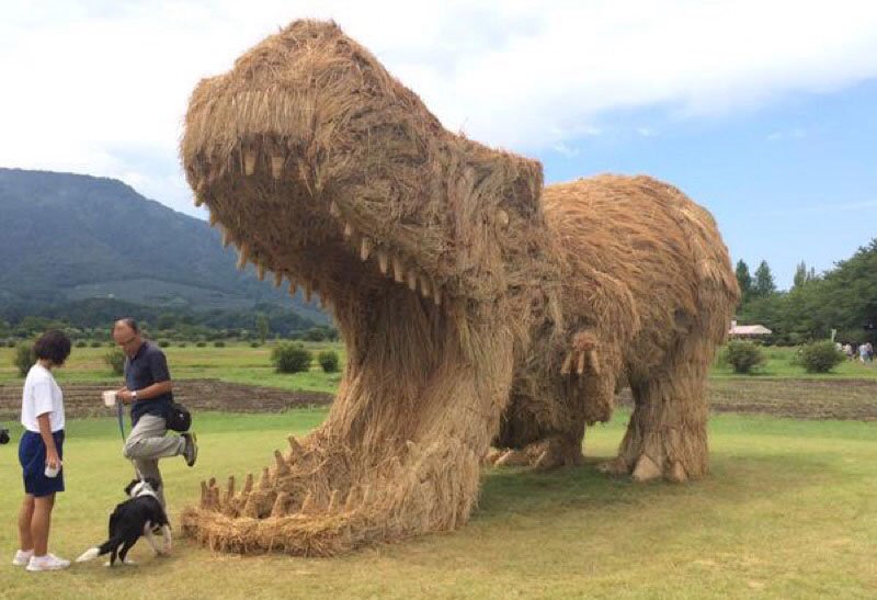 straw-art-festival-niigata-city-japan-20