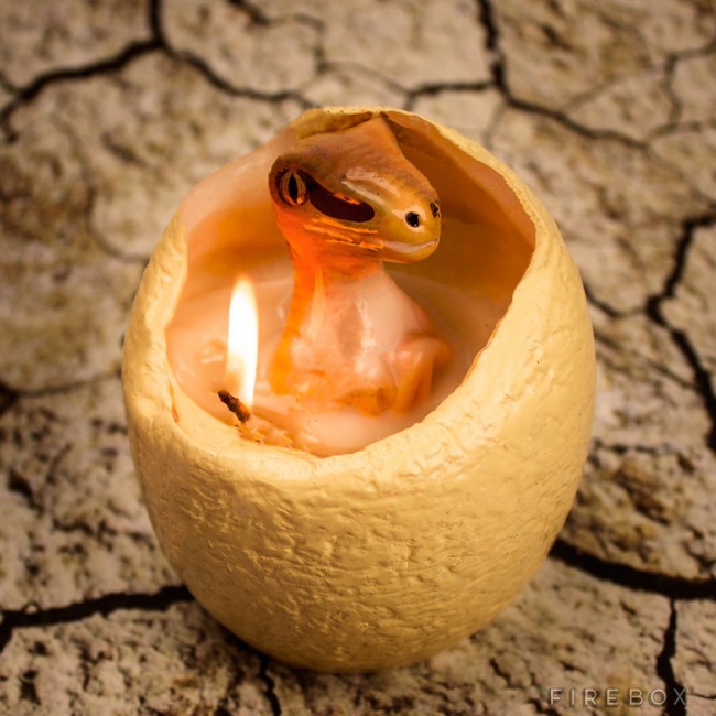 5326810-650-1450426286-hatching-dinosaur-candle-raptor-firebox-1