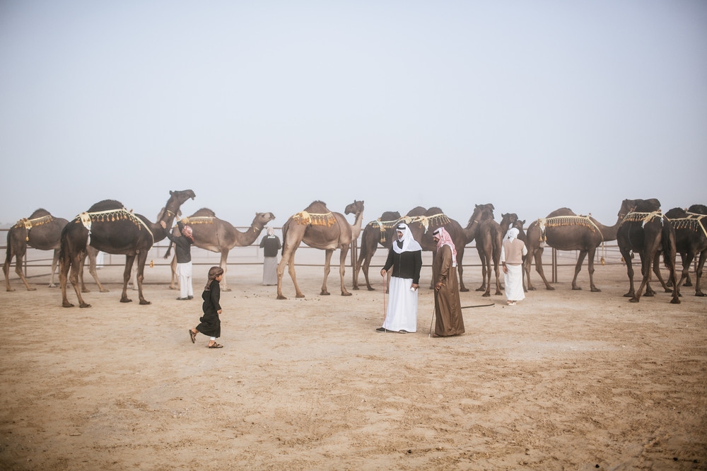 photos-from-the-2015-miss-camel-beauty-contest-111-body-image-1450889515-size_1000[1]