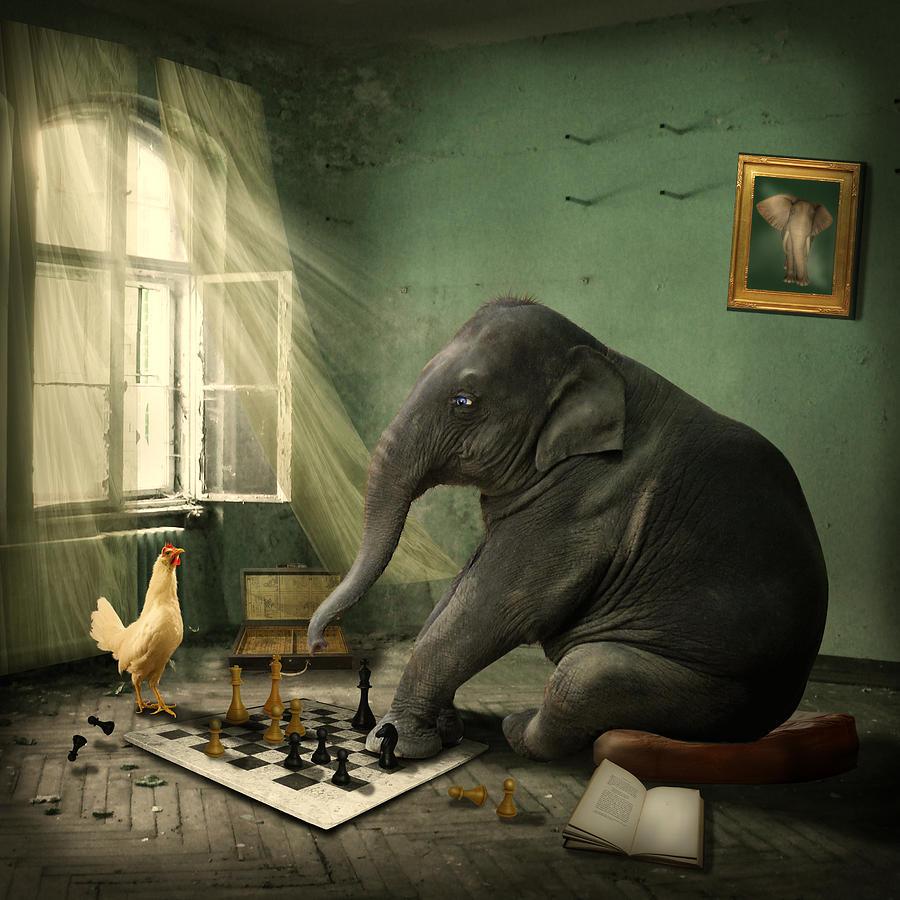 elephant-chess-ethiriel-photography