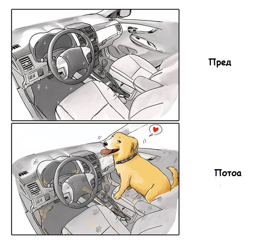 life-before-dog-vs-life-after-dog-mai-john-11__880