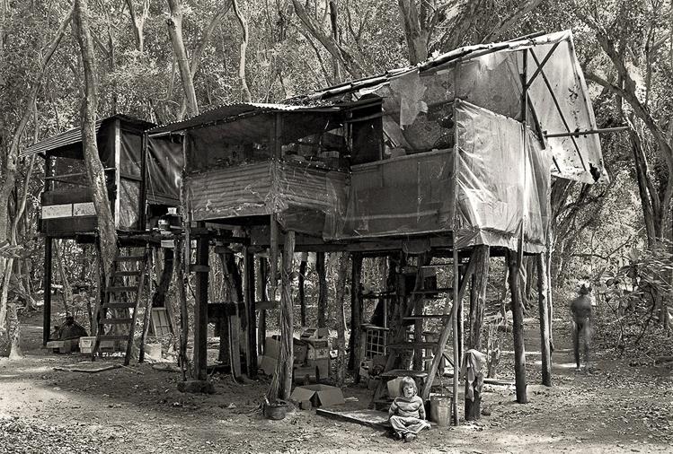 13_hippie-tree-house-village-in-Hawaii