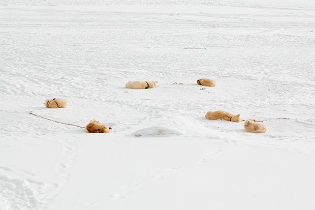 Uummannaq, Greenland, 2015. Uummannaq, Groenland, 2015.