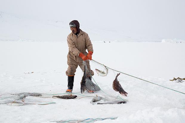 Uummannaq, Greenland, 2015. Uummannaq, Groenland, 2015.