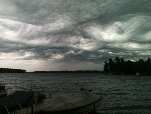 Undulatus-asperatus-2