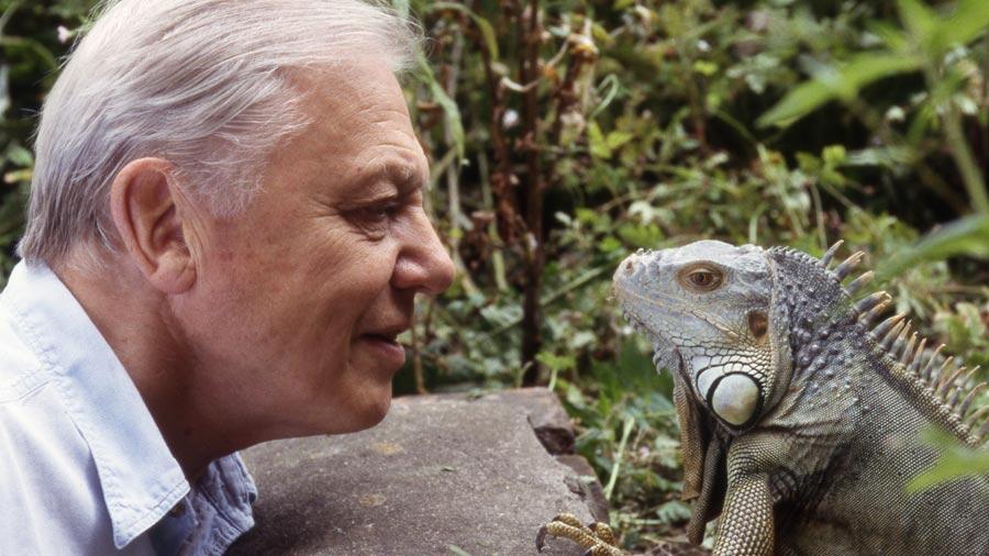 Sir-David-with-an-iguana-900x506[1]