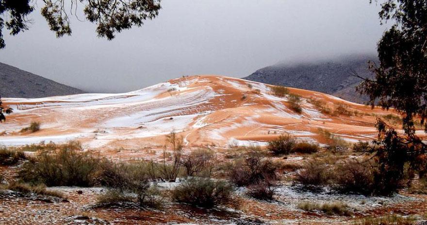 rare-snow-sahara-desert-geoff-robinson-7