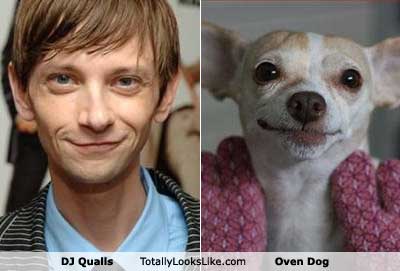 dj-qualls.jpg