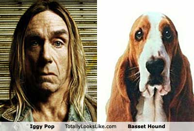 iggy-pop.jpg