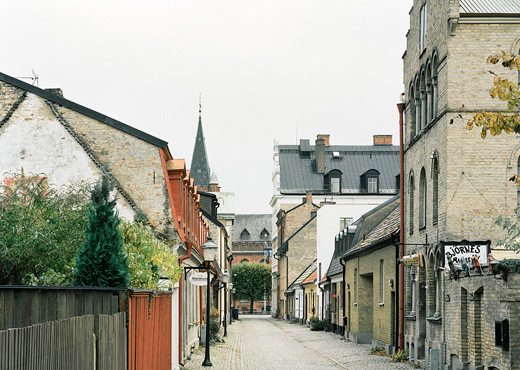 townhouse-landscape2