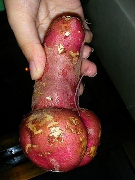 a96758_suggestive-potato-02.jpg