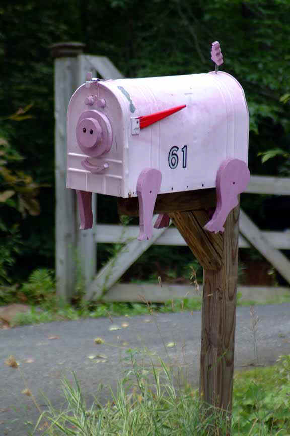 aaaapigmailbox1w.jpg