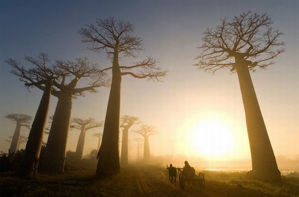 national-geographic-moments-26