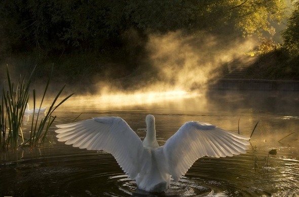 national-geographic-moments-34