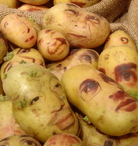 potatoportraits03.jpg