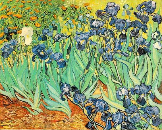 irises-by-vincent-van-gogh-53-point-9-mil_msp1.jpg