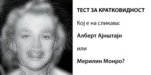 Ајнштајн или Монро: Проверете дали ви требаат очила пред монитор