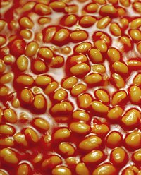 beans260406