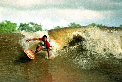 maranhao-cutback