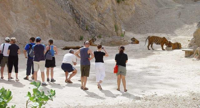 800px-tourists_tiger_temple