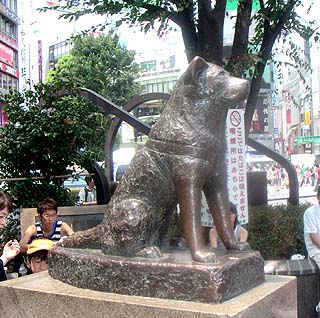 hachiko-shibuya