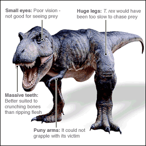 trex4