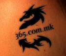 365_tat