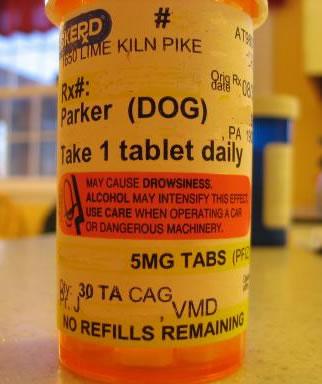 dog_pills