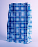 a98535_0701_blueplaidbag_m